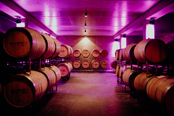 WeingutBraunewell cellar